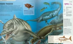 Animales Y Naturaleza*Contrapunto La era de los dinosaurios
