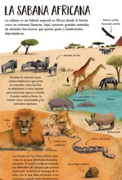 Animales Y Naturaleza*Contrapunto Mi primer libro de la naturaleza