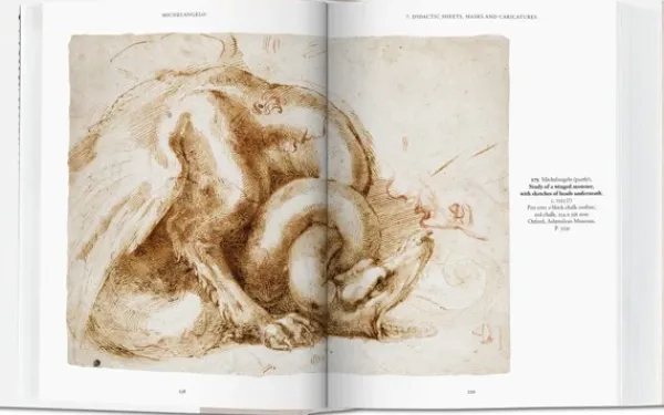 Arte*Taschen Miguel Ángel. Obra gráfica. Biblioteca Universal