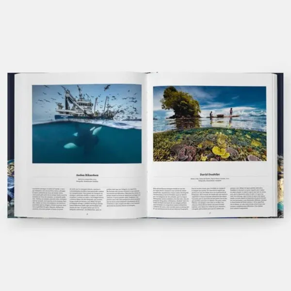 Ciencias Básicas*Phaidon Océanos. Una exploración del mundo marino