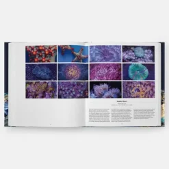 Ciencias Básicas*Phaidon Océanos. Una exploración del mundo marino