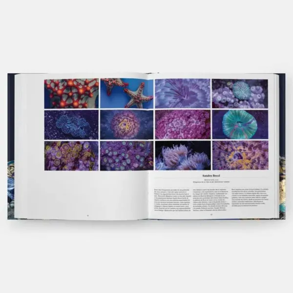 Ciencias Básicas*Phaidon Océanos. Una exploración del mundo marino