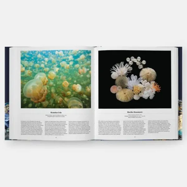 Ciencias Básicas*Phaidon Océanos. Una exploración del mundo marino