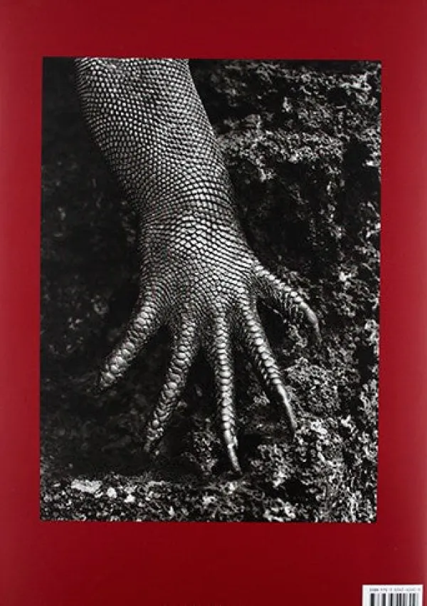 Fotografía*Taschen Sebastião Salgado. Génesis