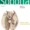 Ciencias De La Salud*Elsevier Sobotta. Atlas de anatomía humana. Vol 3. 25ªEd.